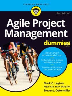 Agile Project Management for Dummies, 2nd Edition PDF
