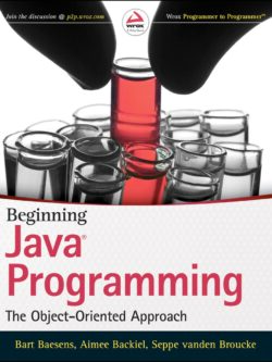 Beginning Java Programming: The Object Oriented Approach PDF