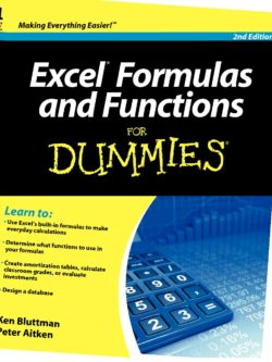 Excel Formulas and Functions For Dummies PDF