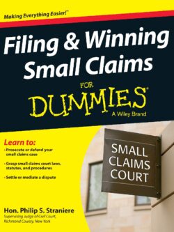 Filing and Winning Small Claims for Dummies PDF