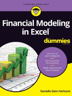 Financial Modeling in Excel For Dummies 2017 PDF