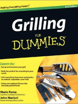 Grilling for Dummies PDF