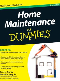 Home Maintenance For Dummies, 2nd Edition PDF