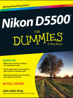 Nikon D5500 For Dummies 2015