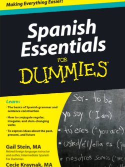 Spanish Essentials For Dummies by Gail Stein